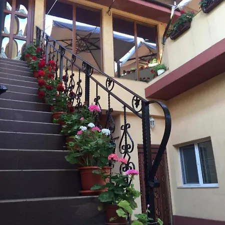 Vila Trandafir-3